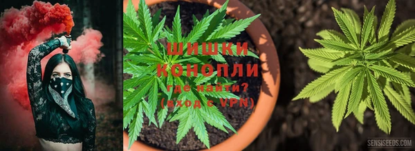 2c-b Инсар