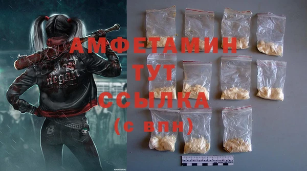 2c-b Инсар