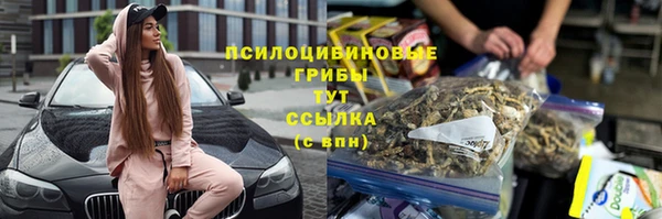 сатива Каменногорск